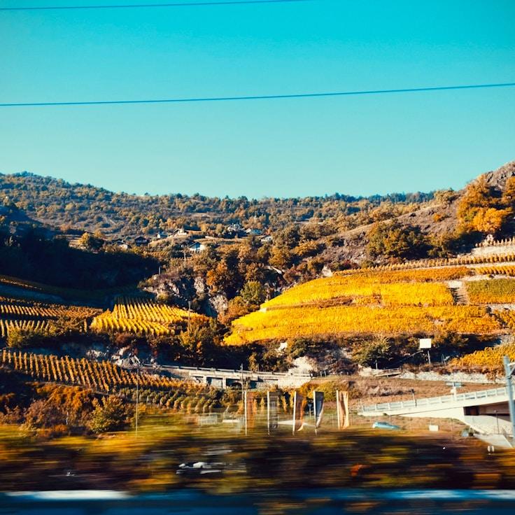 Kids playground area in Portugal